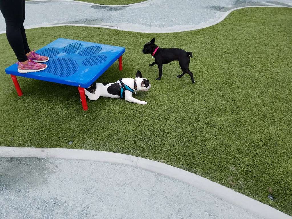 Signal Hill Dog Park | 3100 California Ave, Signal Hill, CA 90755, USA | Phone: (562) 989-7330