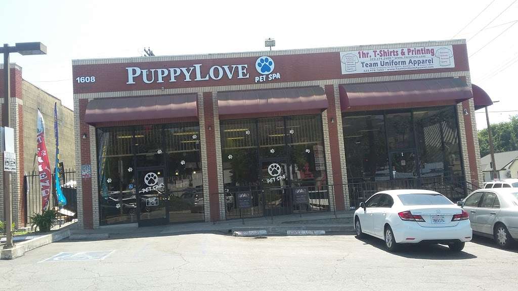 Puppy Love Pet Spa | 1608 Colorado Blvd, Los Angeles, CA 90041, USA | Phone: (323) 256-2000
