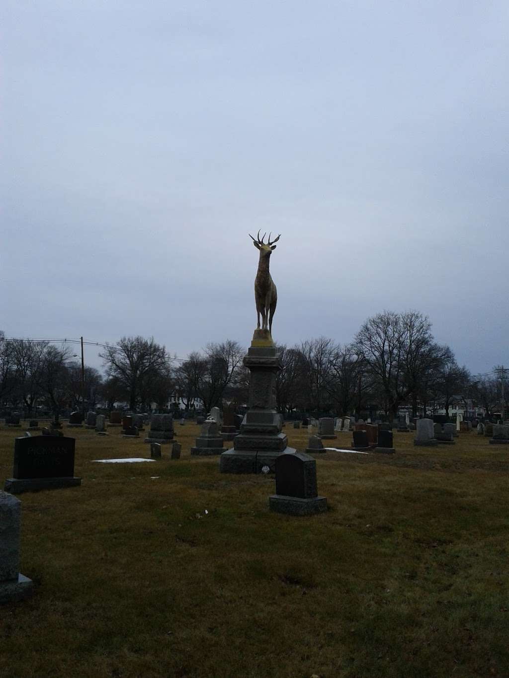 Edson Cemetery | Lowell, MA 01852