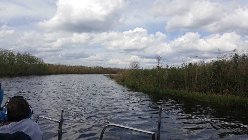 Airboat Rides at MIDWAY | 28501 E Colonial Dr, Christmas, FL 32709, USA | Phone: (407) 568-6790