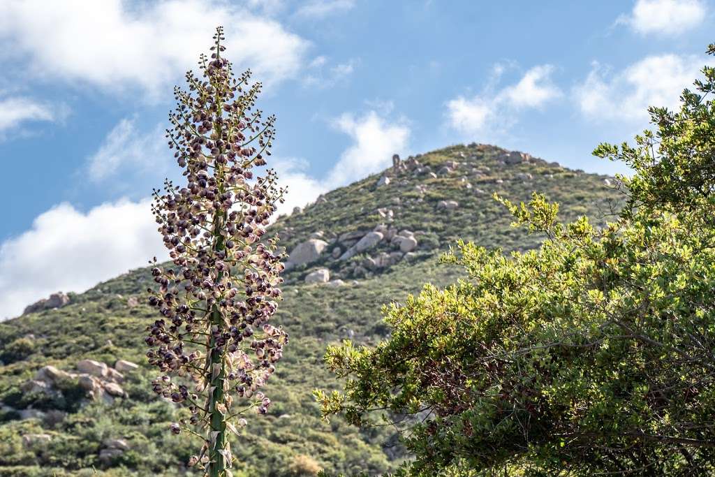 Iron Mountain Trailhead | 14847-14909 CA-67, Poway, CA 92064, USA