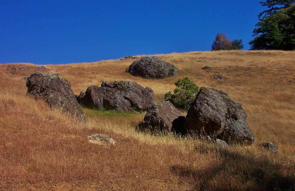 Rock Springs Picnic Area | E Ridgecrest Blvd, Mill Valley, CA 94941
