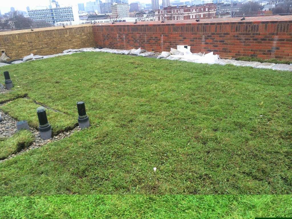 Eco Green Roofs | Rays Farm Barns, Ingatestone CM4 9EH, UK | Phone: 01277 355705