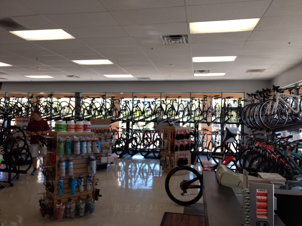 Oro Valley Bicycle | 12925 N Oracle Rd, Tucson, AZ 85739, USA | Phone: (520) 825-2751