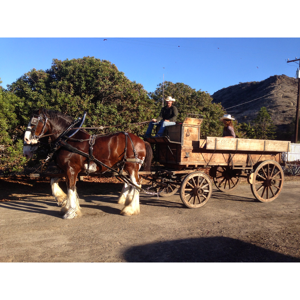 Pony Land: Pony Rides & Petting Zoo | 2606 Hollister St, San Diego, CA 92154, USA | Phone: (619) 947-3152