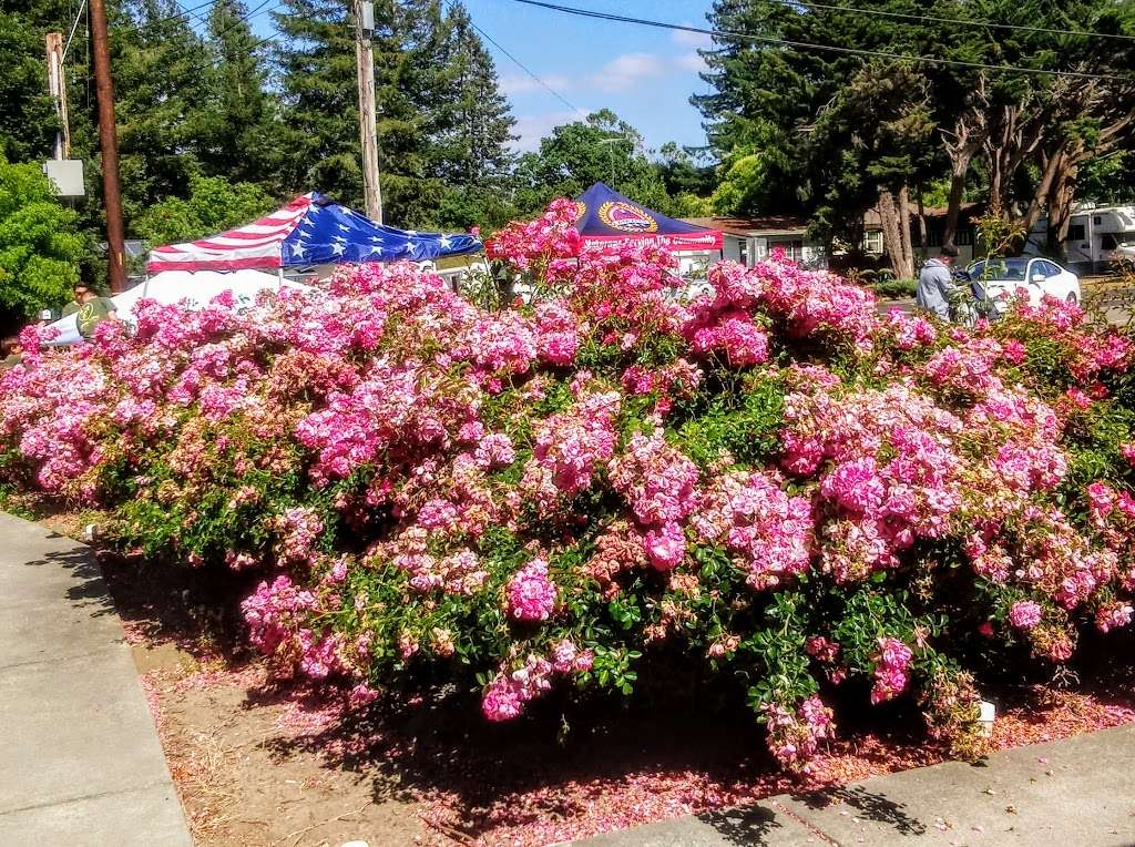 Cotati Veterans memorial building | 8505 Park Ave, Cotati, CA 94931, USA