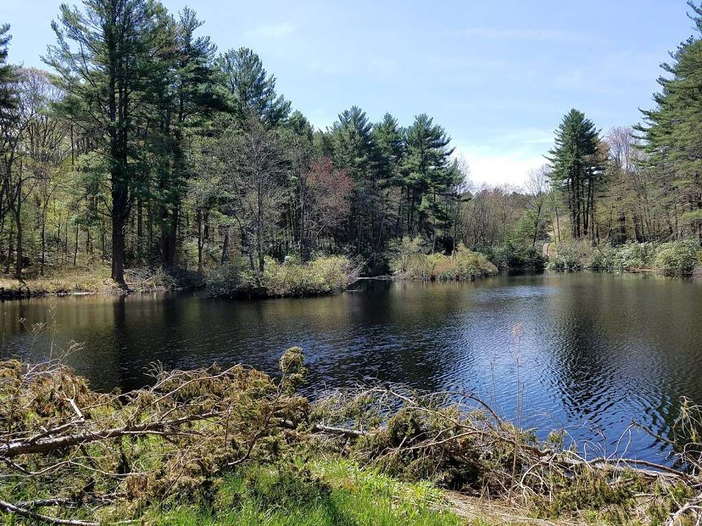 Cochran Wildlife Sanctuary | 66-88 Chapel Ave, Andover, MA 01810, USA