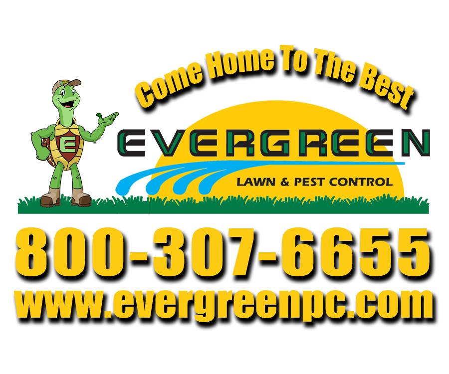 Evergreen Lawn & Pest Control | 5549, 6663 Narcoossee Rd #190, Orlando, FL 32822, USA | Phone: (407) 985-2842