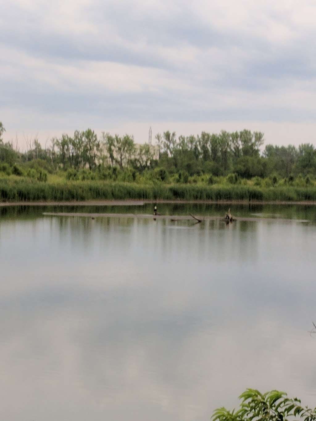 Butterfield Creek Headwaters Land and Water Reserve | Matteson, IL 60443, USA