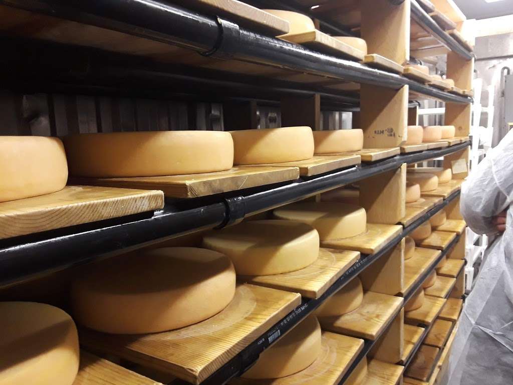 Nicasio Valley Cheese Company | 5300 Nicasio Valley Rd, Nicasio, CA 94946 | Phone: (415) 662-6200