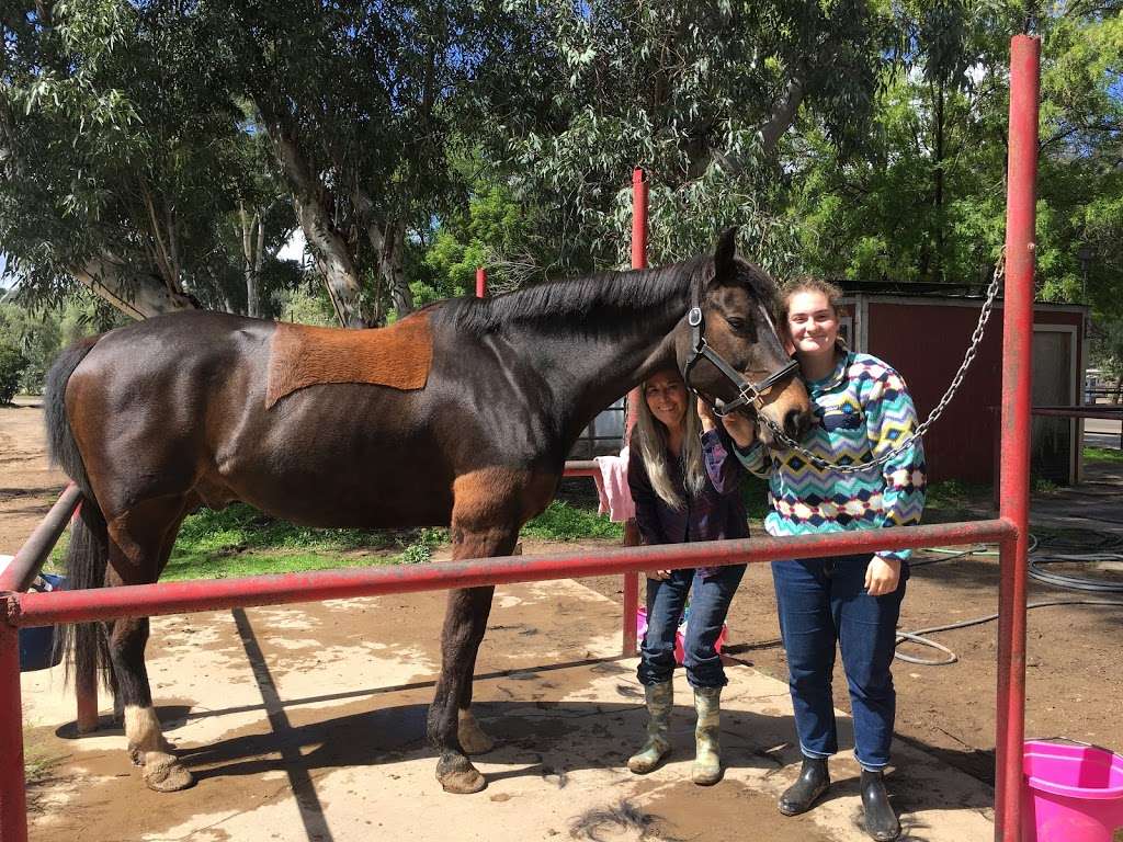 Canty Rune Training Stables | 10480 Creek Rd, Oak View, CA 93022 | Phone: (805) 203-3064