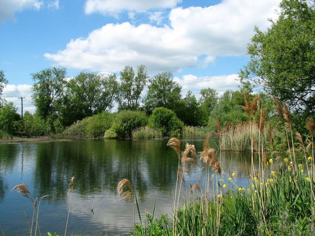 Rye Meads Nature Reserve | Stanstead Abbotts, Ware SG12 8JS, UK | Phone: 01727 858901