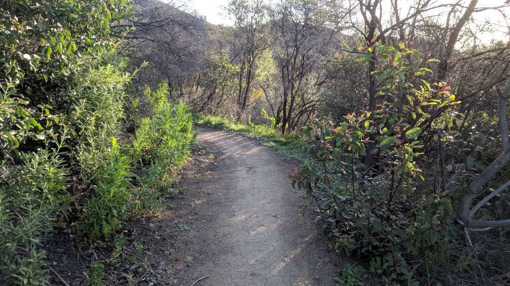 Backbone Trail Trailhead - Mulholland | Backbone Trail, Malibu, CA 90265, USA