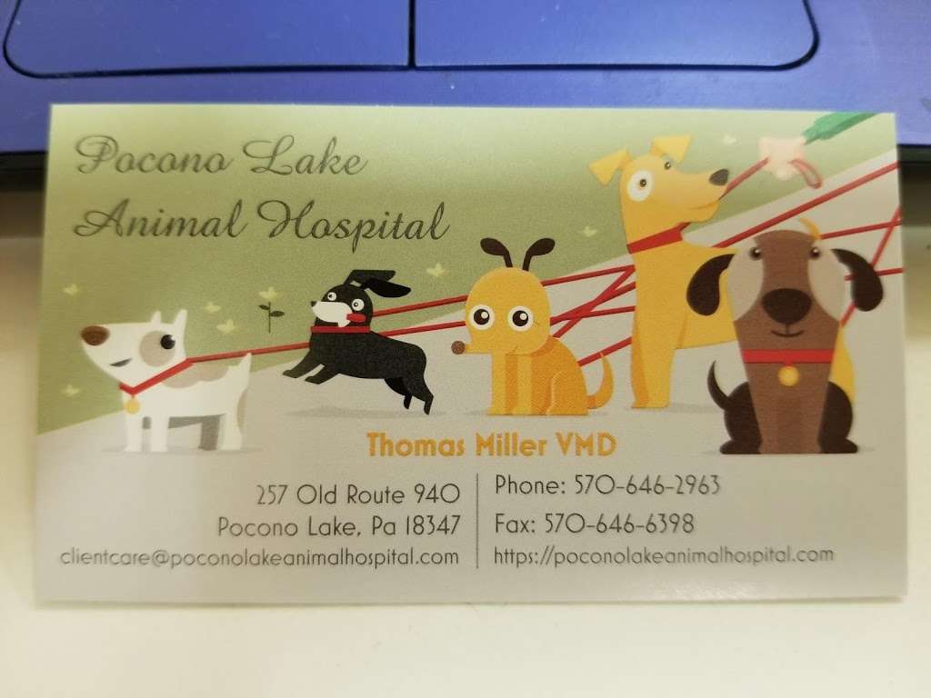 Pocono Lake Animal Hospital | 257 Old Rte 940, Pocono Lake, PA 18347, USA | Phone: (570) 646-2963