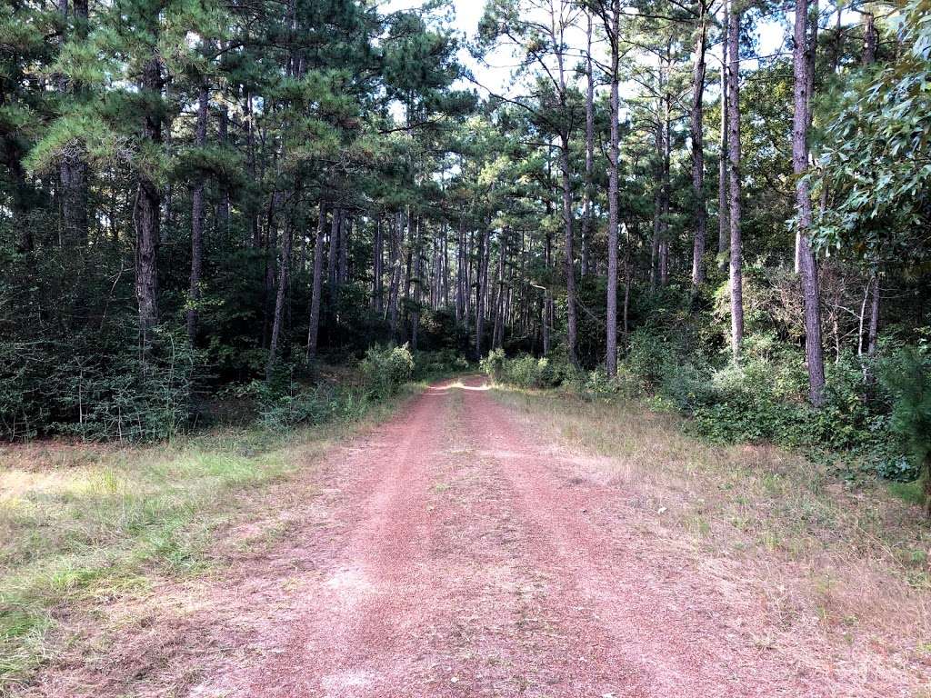 Designated Camping Area | Cleveland, TX 77328, USA