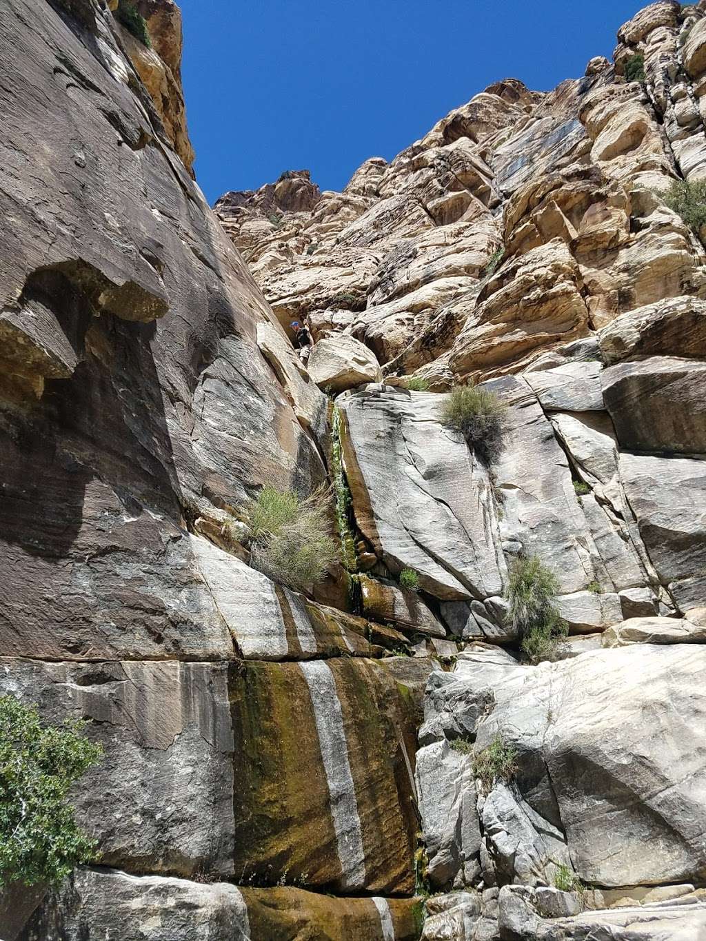 Lost Creek Canyon | Childrens Discovery Trail, Las Vegas, NV 89161, USA | Phone: (702) 515-5350