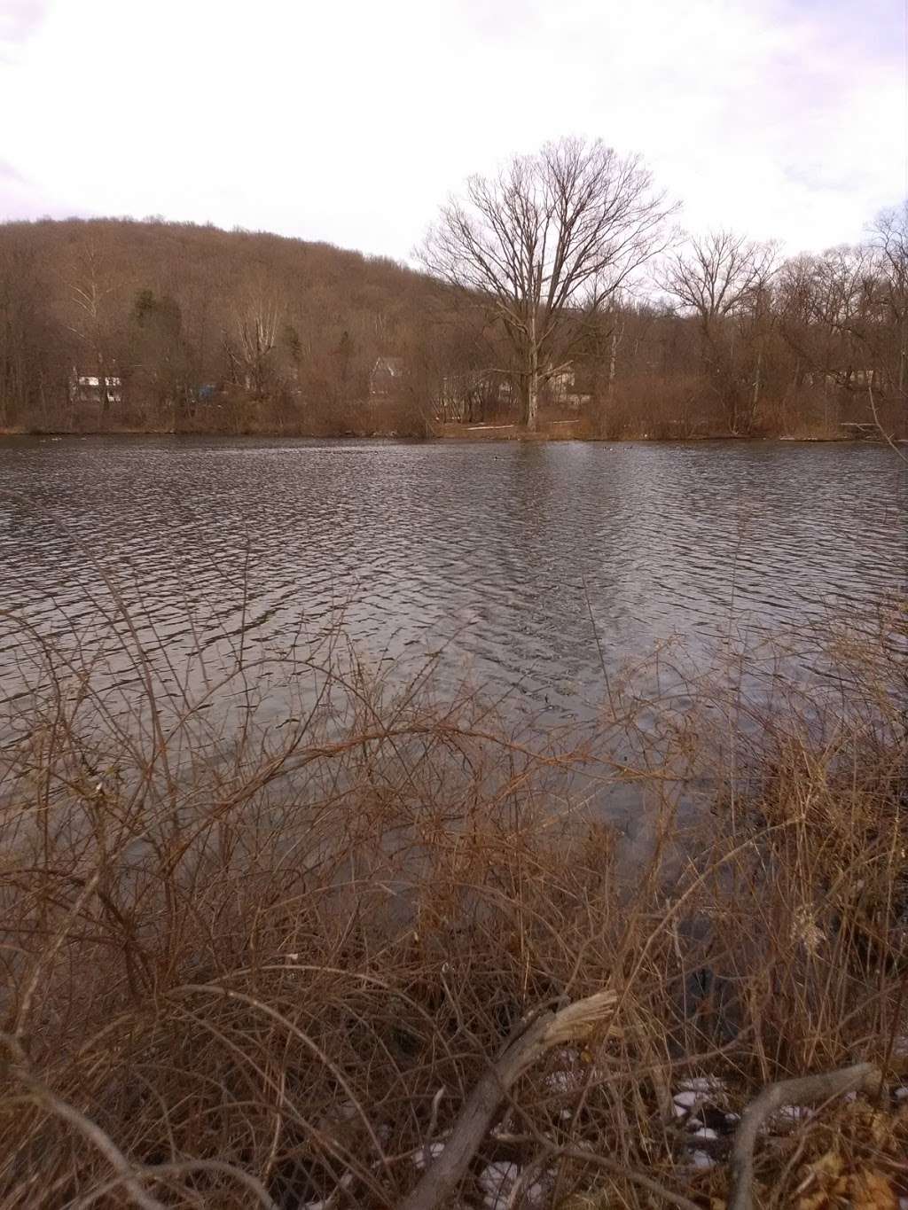 Bernharts Dam | Muhlenberg Township, PA 19605, USA