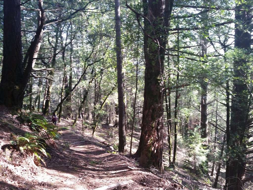 Indian Tree Open Space Preserve | Novato, CA 94947, USA