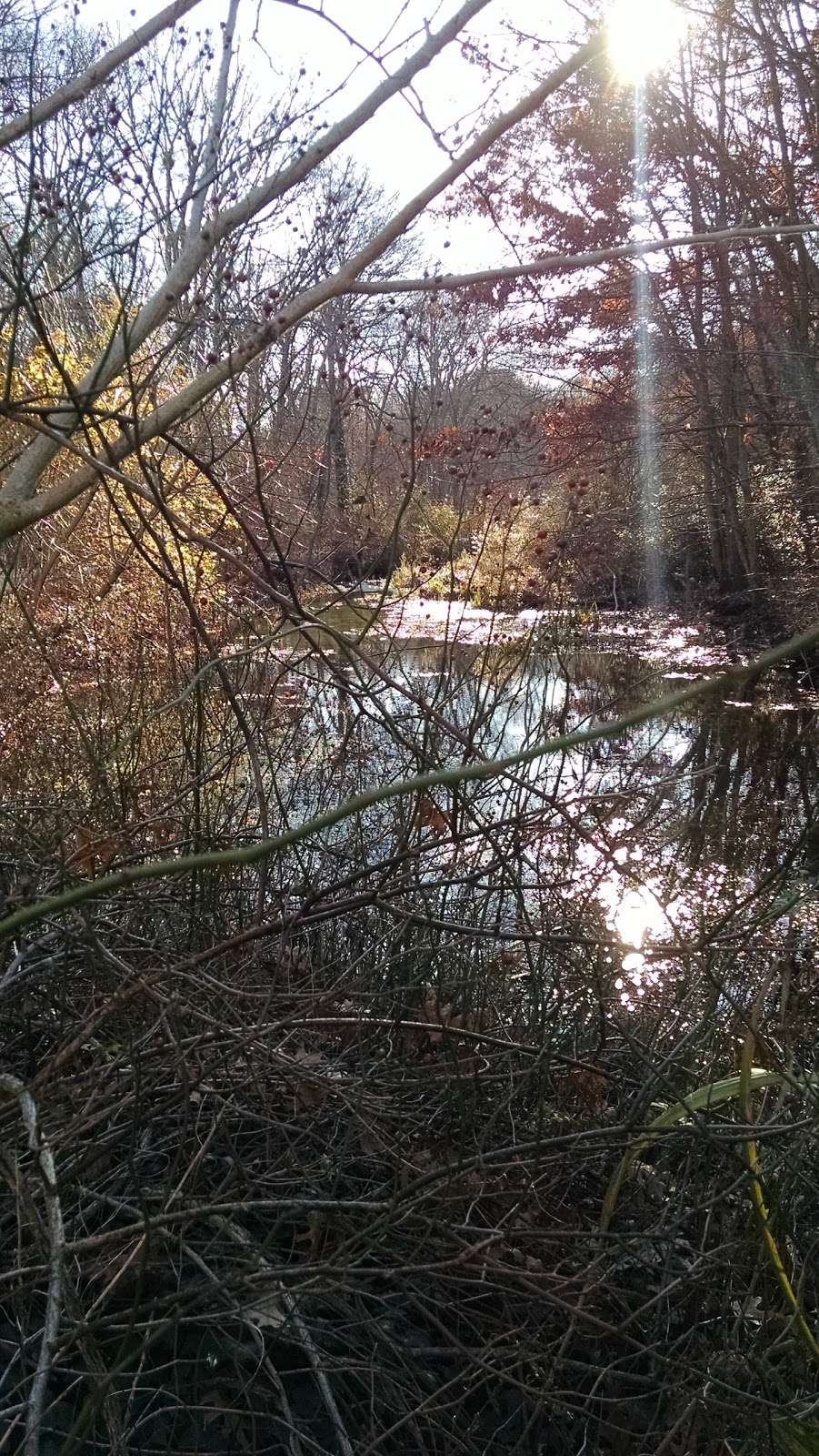 Bethpage Bikeway | Bethpage Bikeway, Massapequa Park, NY 11762, USA