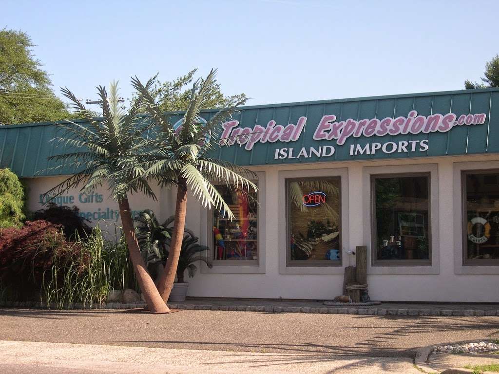 Tropical Expressions | 17402 Brighton Ave, Port Charlotte, FL 33954, United States | Phone: (732) 899-1733