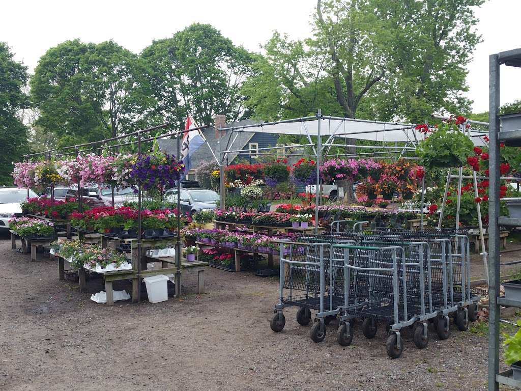Gordon Florist & Greenhouses | 24 Essex Rd, Ipswich, MA 01938, USA | Phone: (978) 356-2955