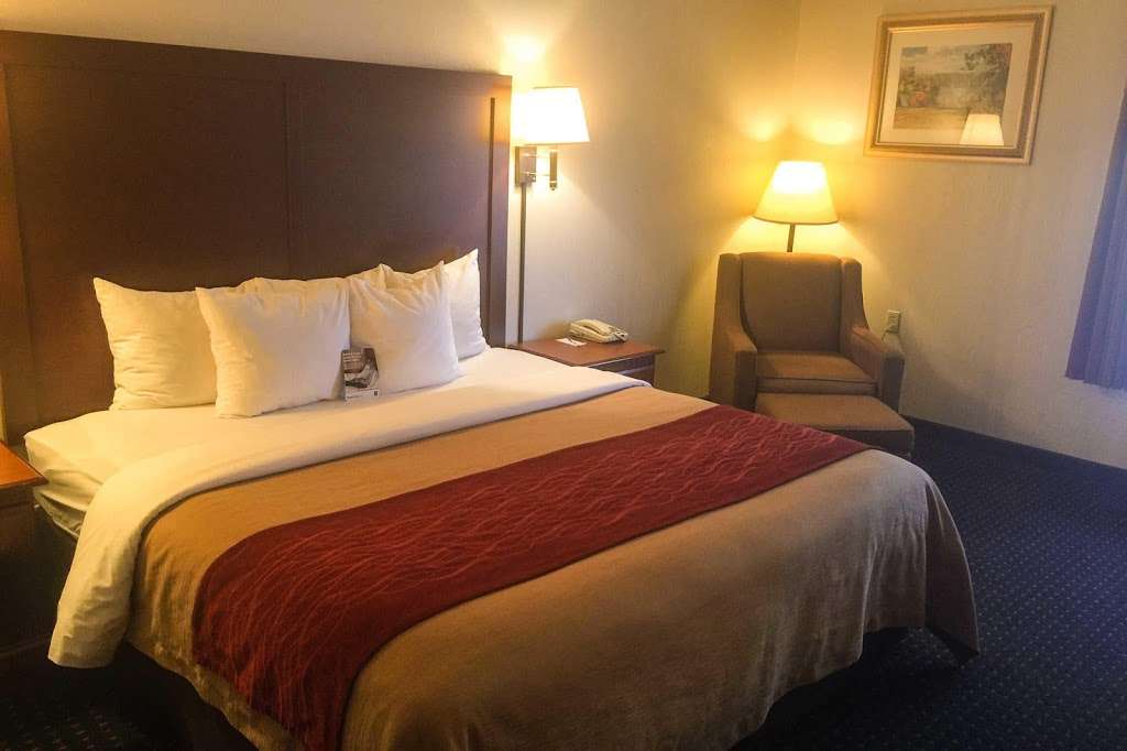 Comfort Inn & Suites | 3189 PA-940, Mt Pocono, PA 18344, USA | Phone: (520) 257-3114