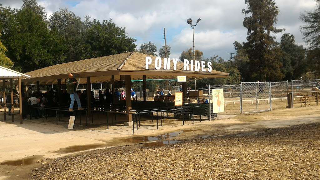 Griffith Park Pony Ride | 4400 Crystal Springs Dr, Los Angeles, CA 90027, USA | Phone: (323) 664-3266