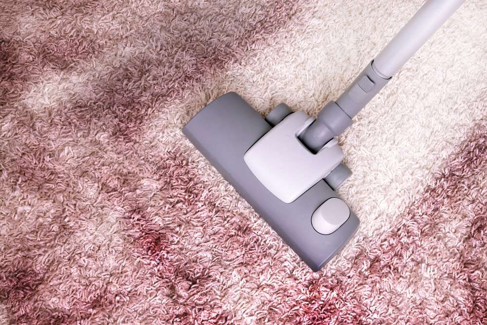 Bellingham Cleaning | 3 King Alfred Ave, London SE6 3HT, UK | Phone: 020 8434 7398