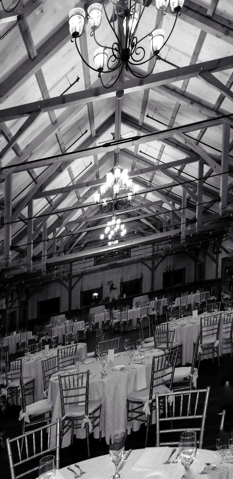 Juliann Nielsen, MS | 24 Atkinson Lane, Newtown, PA 18940, Newtown, PA 18940, USA | Phone: (215) 579-4543