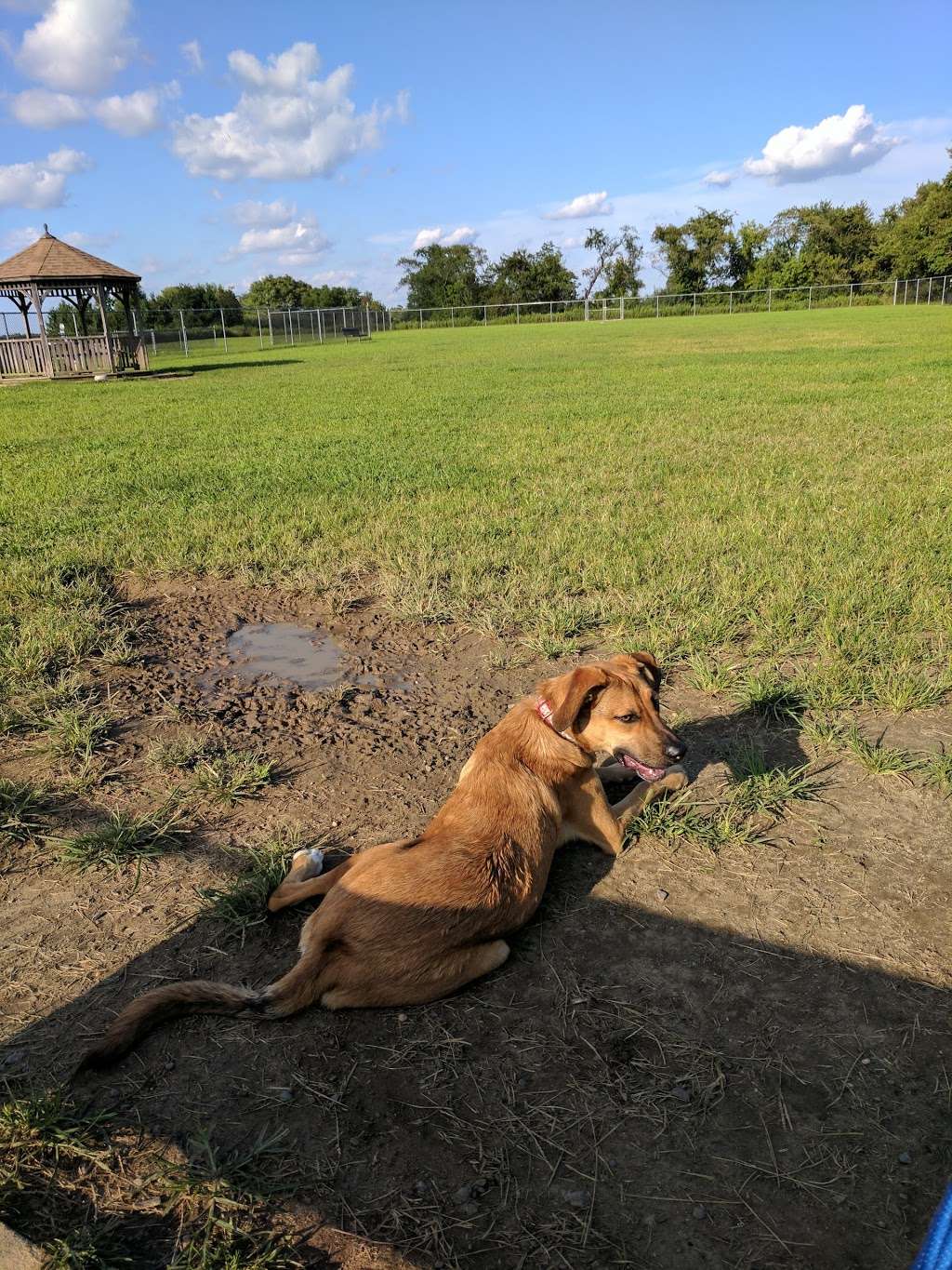 Gloucester County Dog Park | 2401 County Rd 662, Logan Township, NJ 08085, USA