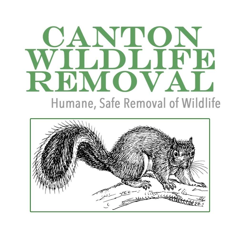 Canton Wildlife Removal | 28 Waterfall Dr unit m, Canton, MA 02021 | Phone: (774) 204-1776