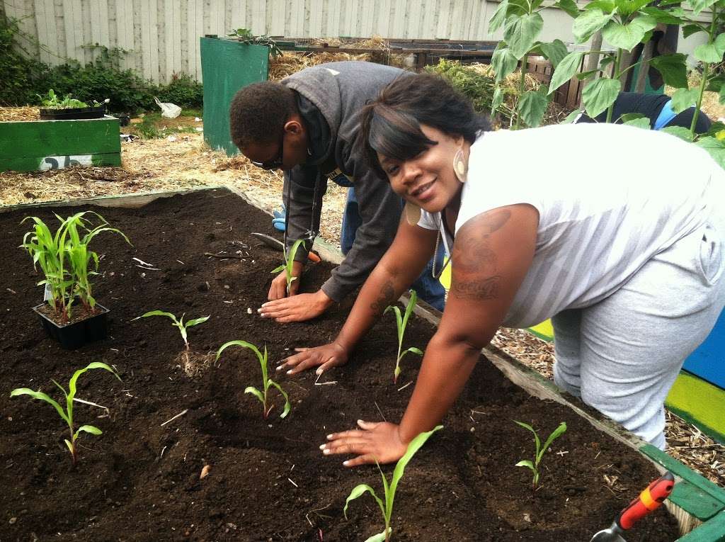 Urban Tilth | 323 Brookside Dr, Richmond, CA 94801, USA | Phone: (510) 232-0911