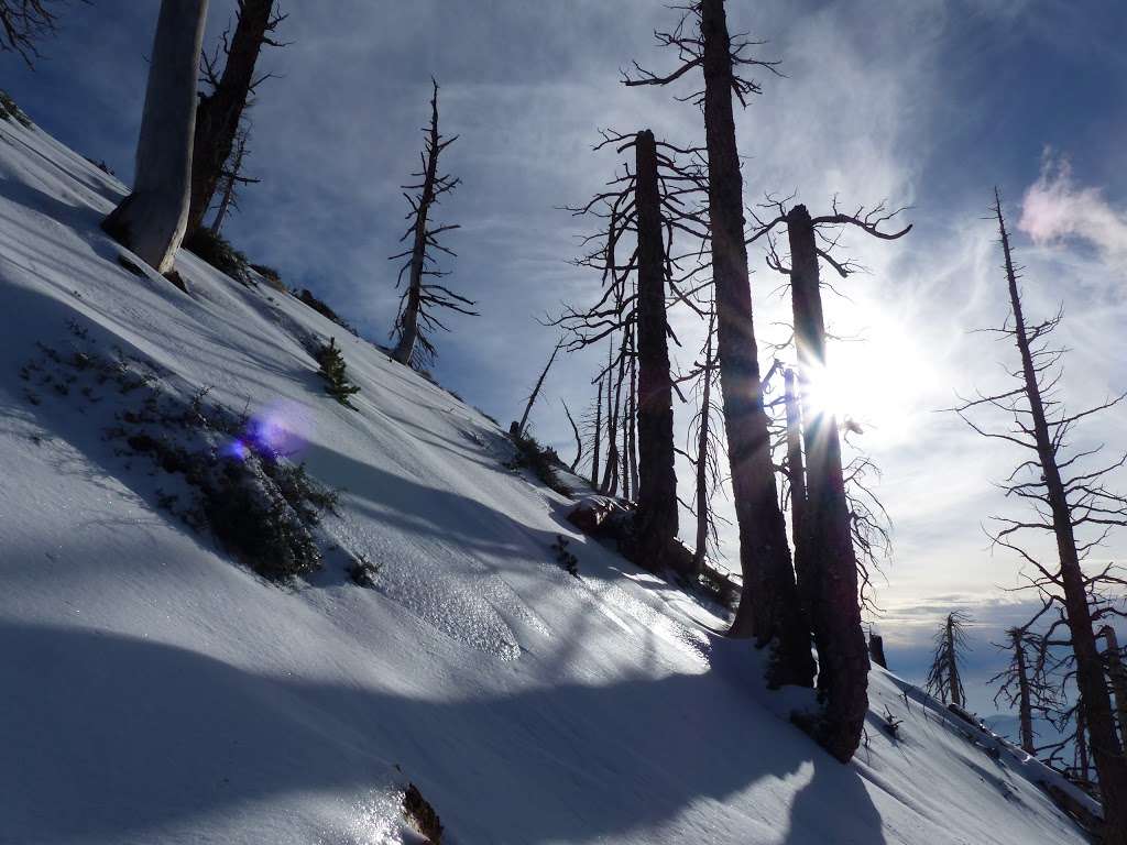 Windy Gap Trail | Windy Gap Trail, Azusa, CA 91702