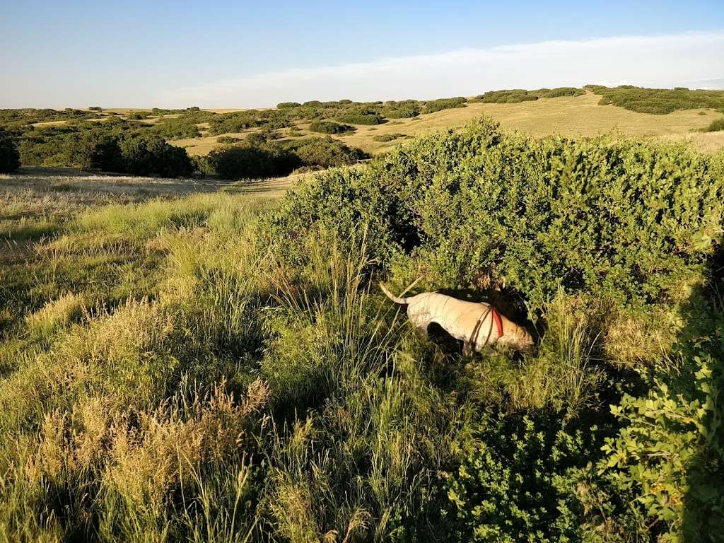 Glendale Open Space Trail | 12300 S Havana St, Castle Rock, CO 80108, USA | Phone: (303) 660-7495