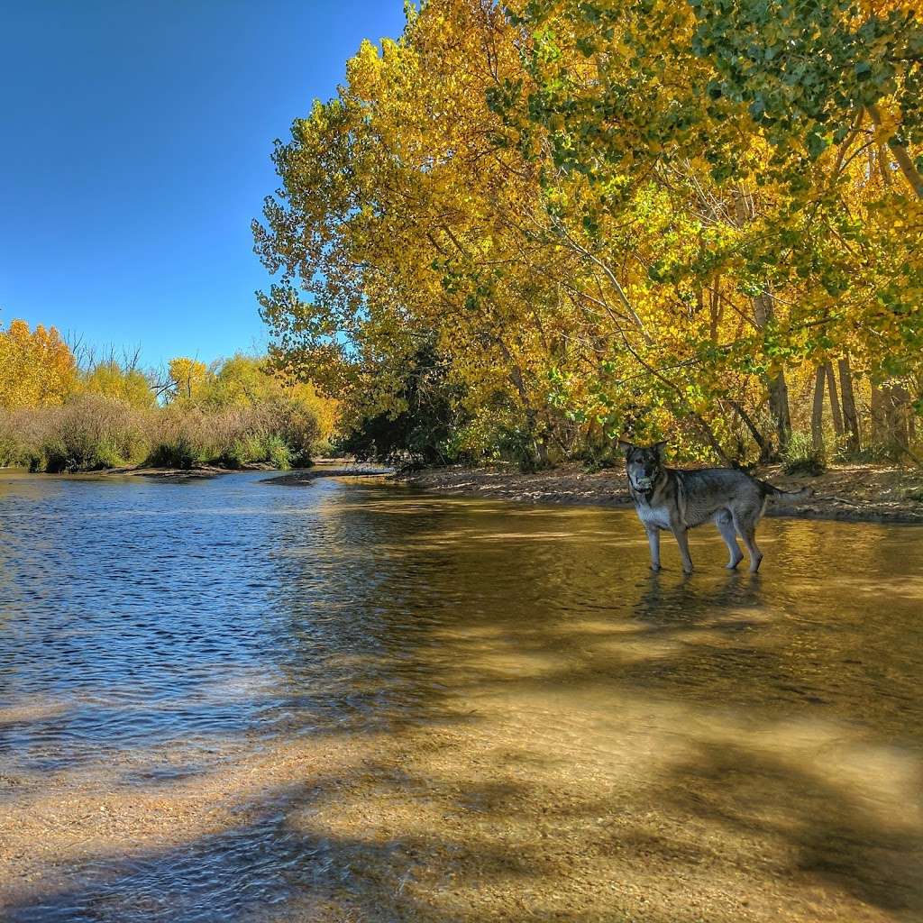 Cherry Creek ​Dog Of​f Leash Area (DOLA) | S Entrance Rd, Aurora, CO 80015, USA | Phone: (303) 690-1166