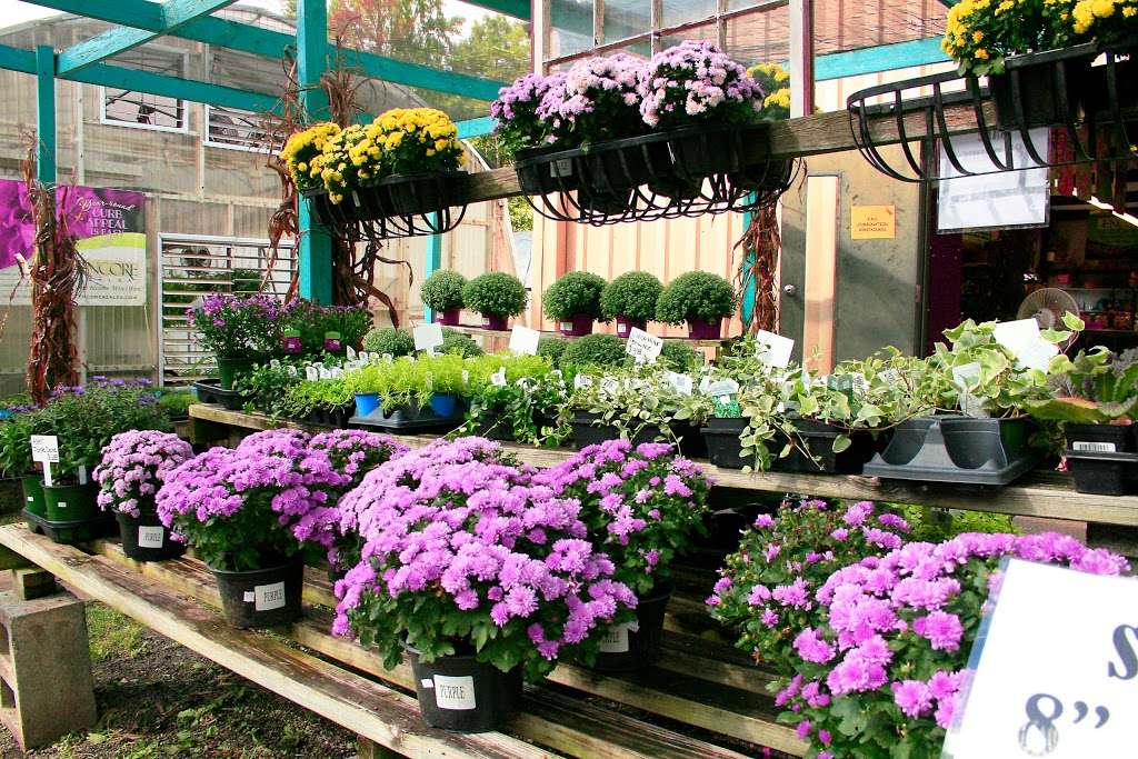 New Hope Greenhouses and Garden Center | 2703 Beaty Rd, Gastonia, NC 28056, USA | Phone: (704) 824-1799