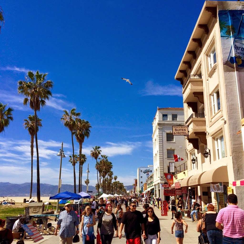 Venice Beach Suites & Hotel | 1305 Ocean Front Walk, Venice, CA 90291, USA | Phone: (310) 396-4559