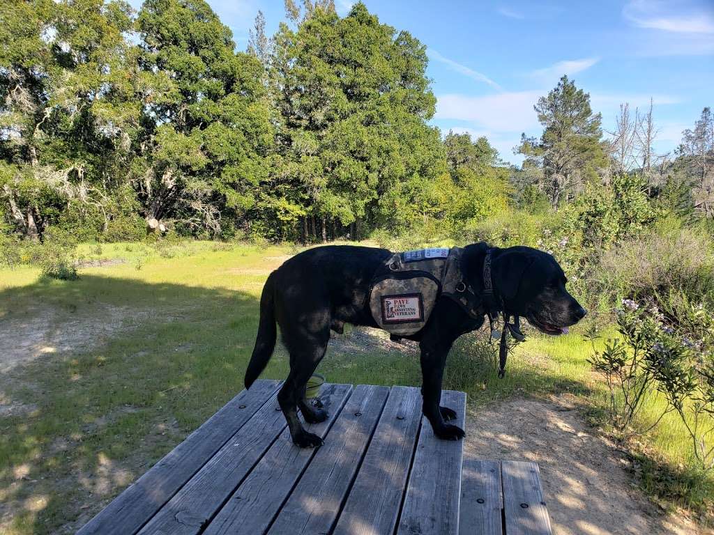 Loch Trail | Loch Trail, Ben Lomond, CA 95005, USA