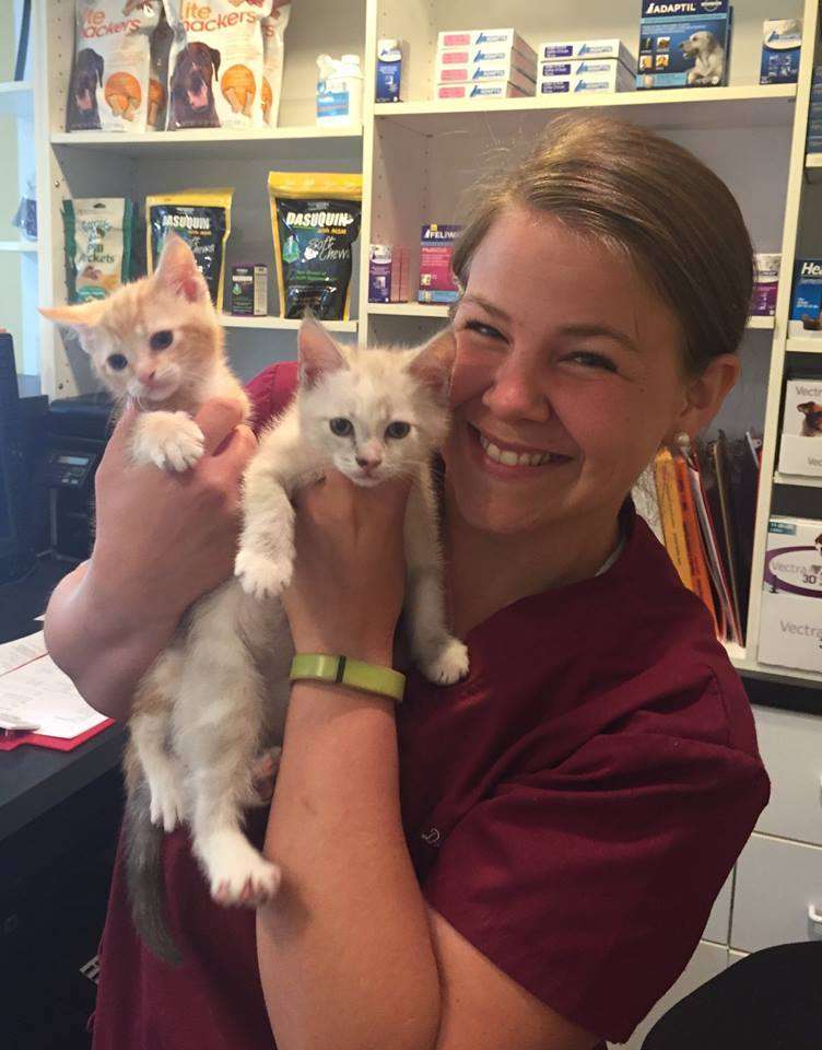 Bay Country Veterinary Hospital | 1197 Generals Hwy, Crownsville, MD 21032, USA | Phone: (410) 923-3040