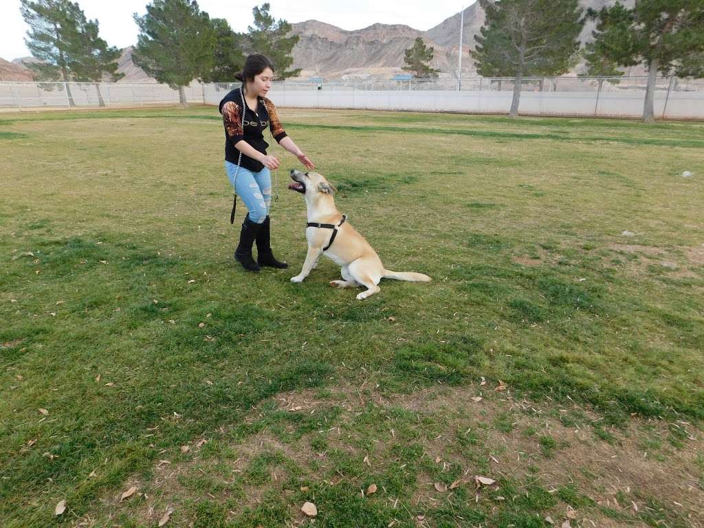 Shadow Rock Dog Park | Las Vegas, NV 89156, USA | Phone: (702) 455-8200