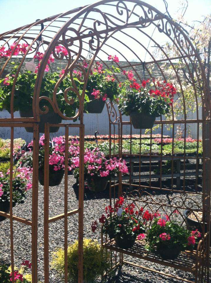 Waterbrook Florist and Garden Center, Inc. | 1215 Sea Girt Ave, Sea Girt, NJ 08750, USA | Phone: (732) 292-2700