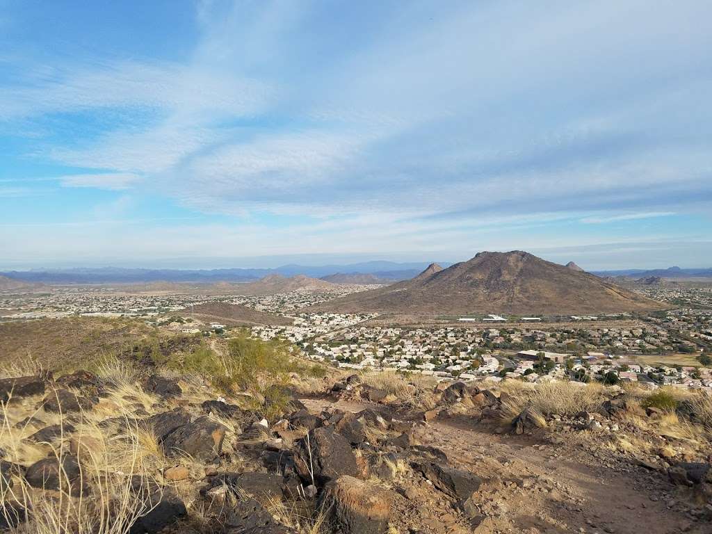 Thunderbird conservation Park | Cholla Loop, Glendale, AZ 85310, USA