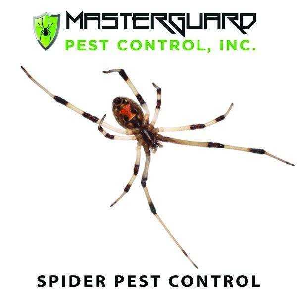 MasterGuard Pest Control Inc. | 3215 Golf Rd #293, Delafield, WI 53018, USA | Phone: (262) 408-2220