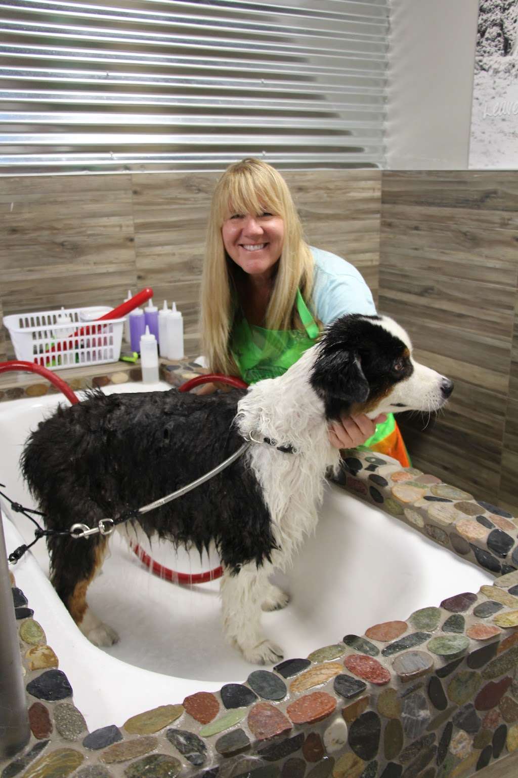 Dirty Dogs Carlsbad | 2521 Palomar Airport Rd #105, Carlsbad, CA 92011, USA | Phone: (760) 438-3478 Dirty Dogs Carlsbad | 2521 Palomar Airport Rd #105, Carlsbad, CA 92011, USA | Phone: (760) 438-3478