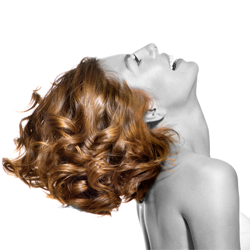 Salon Elyse | 604 NY-303, Blauvelt, NY 10913 | Phone: (845) 398-1774