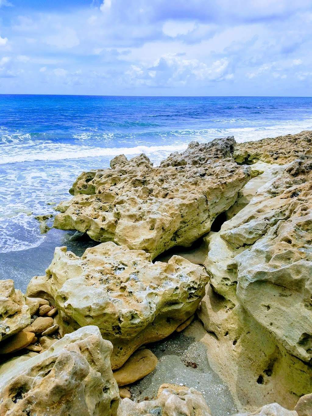 Nature Conservancy Blowing Rocks | 575 S Beach Rd, Hobe Sound, FL 33455, USA | Phone: (561) 744-6668