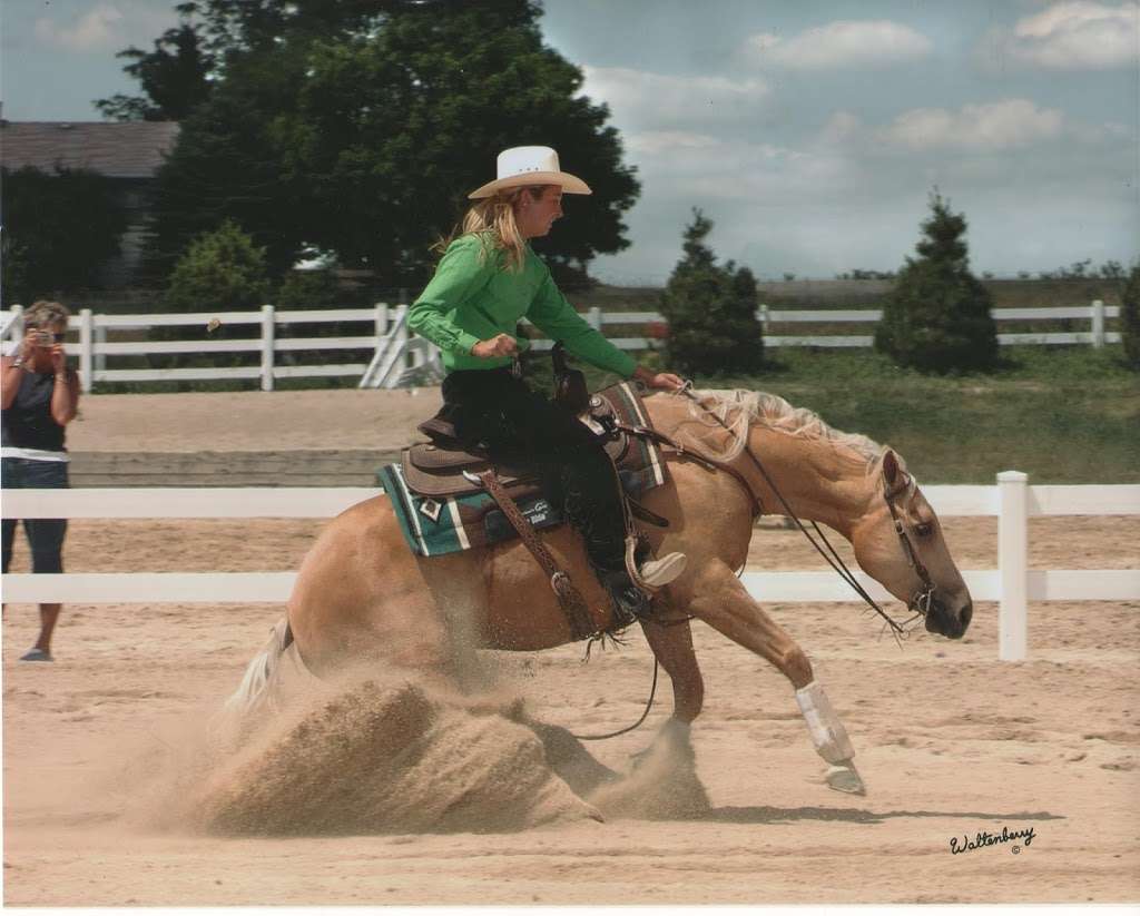 Cornerstone Reining Horses | W691 County Rd CI, Palmyra, WI 53156, USA | Phone: (262) 751-3343