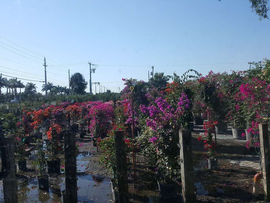 Grays Ornamentals Inc | 15321 Lyons Rd, Delray Beach, FL 33446, USA | Phone: (561) 496-6442