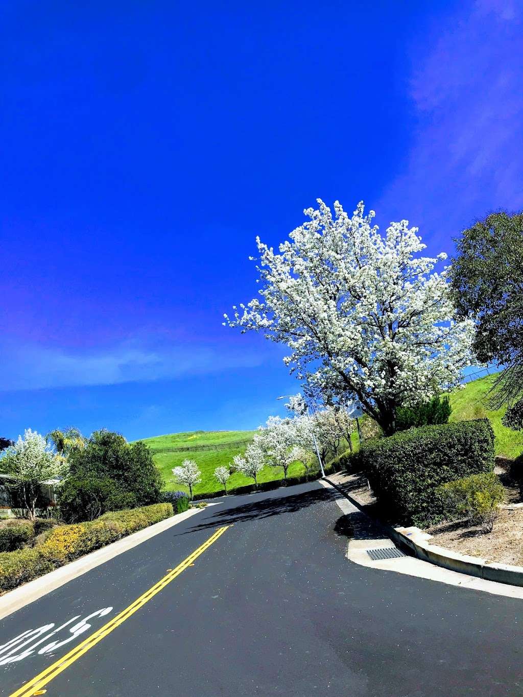 Dougherty Hills Trail Middle End | Topaz Cir, Dublin, CA 94568, USA