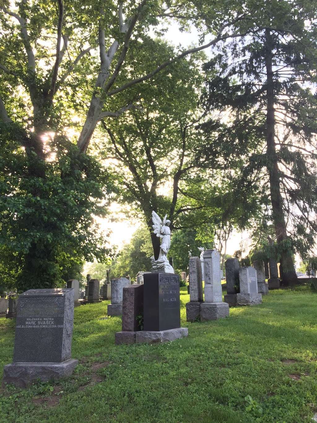 St. Michaels Cemetery | 7202 Astoria Blvd S, East Elmhurst, NY 11370 | Phone: (718) 278-3240